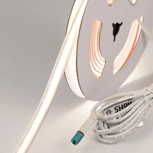 Polar X IP65