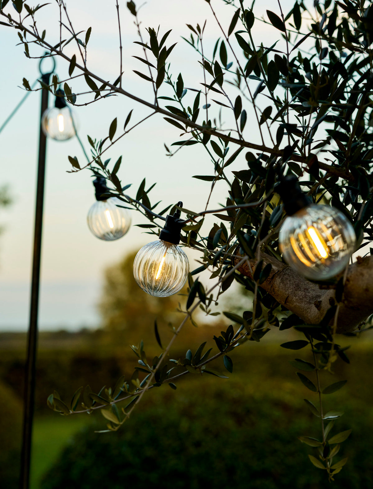Festoon Ribbed Round Lights 20 Bulbs - Black