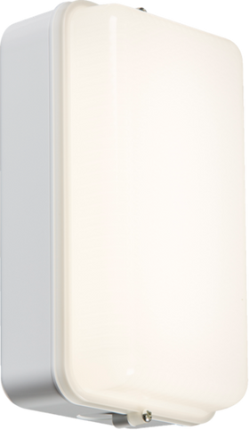 IP54 5W LED Security Amenity Bulkhead