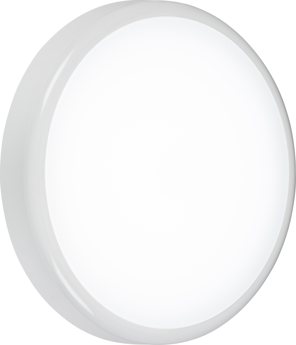 BT20 IP65 20W CCT Adjustable LED Bulkhead