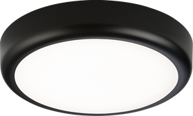 BT9 IP65 9W CCT Adjustable LED Bulkhead