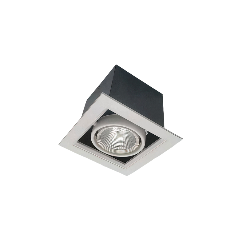 ATRUM AR1 Single Tilt Commercial LED Downlight