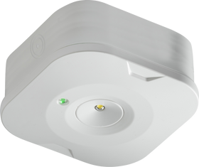 230V 3W LED Surface Emergency Downlight