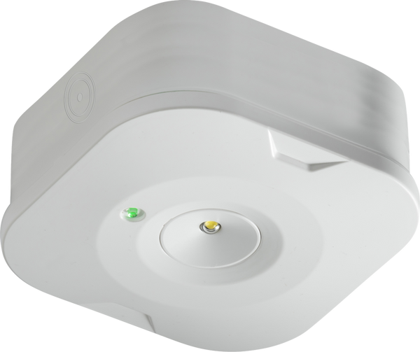 230V 3W LED Surface Emergency Downlight