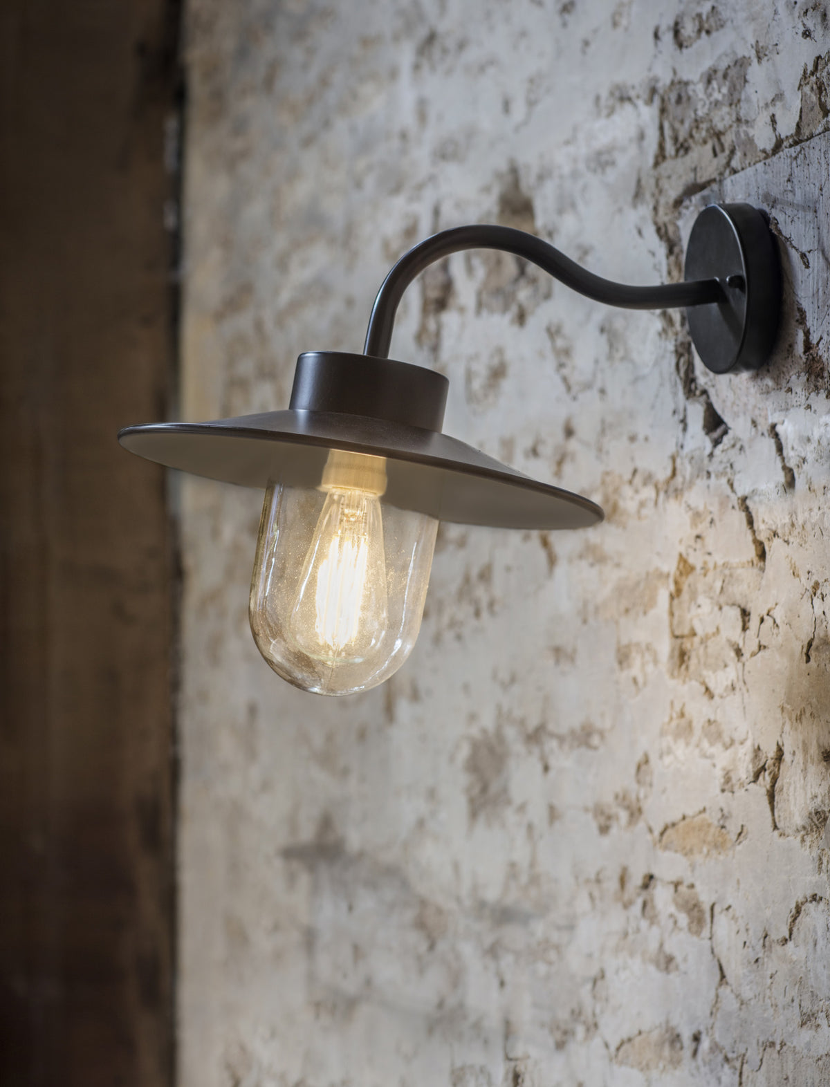 Classic Swan Neck Light