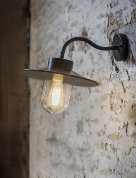 Classic Swan Neck Light
