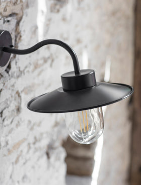 Classic Swan Neck Light