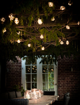 Festoon Lights Classic 20 Bulbs - Black