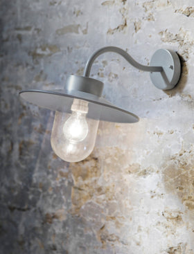Classic Swan Neck Light