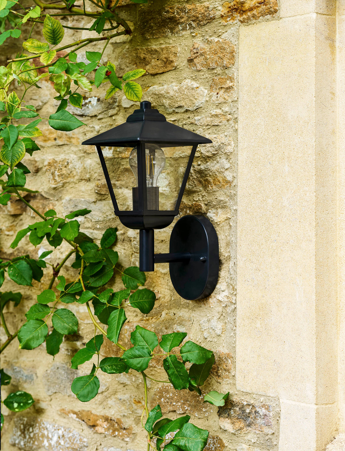 Newland Wall Light - Steel, Carbon