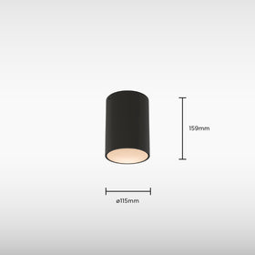 Sensio Onyx Bathroom Ceiling Light