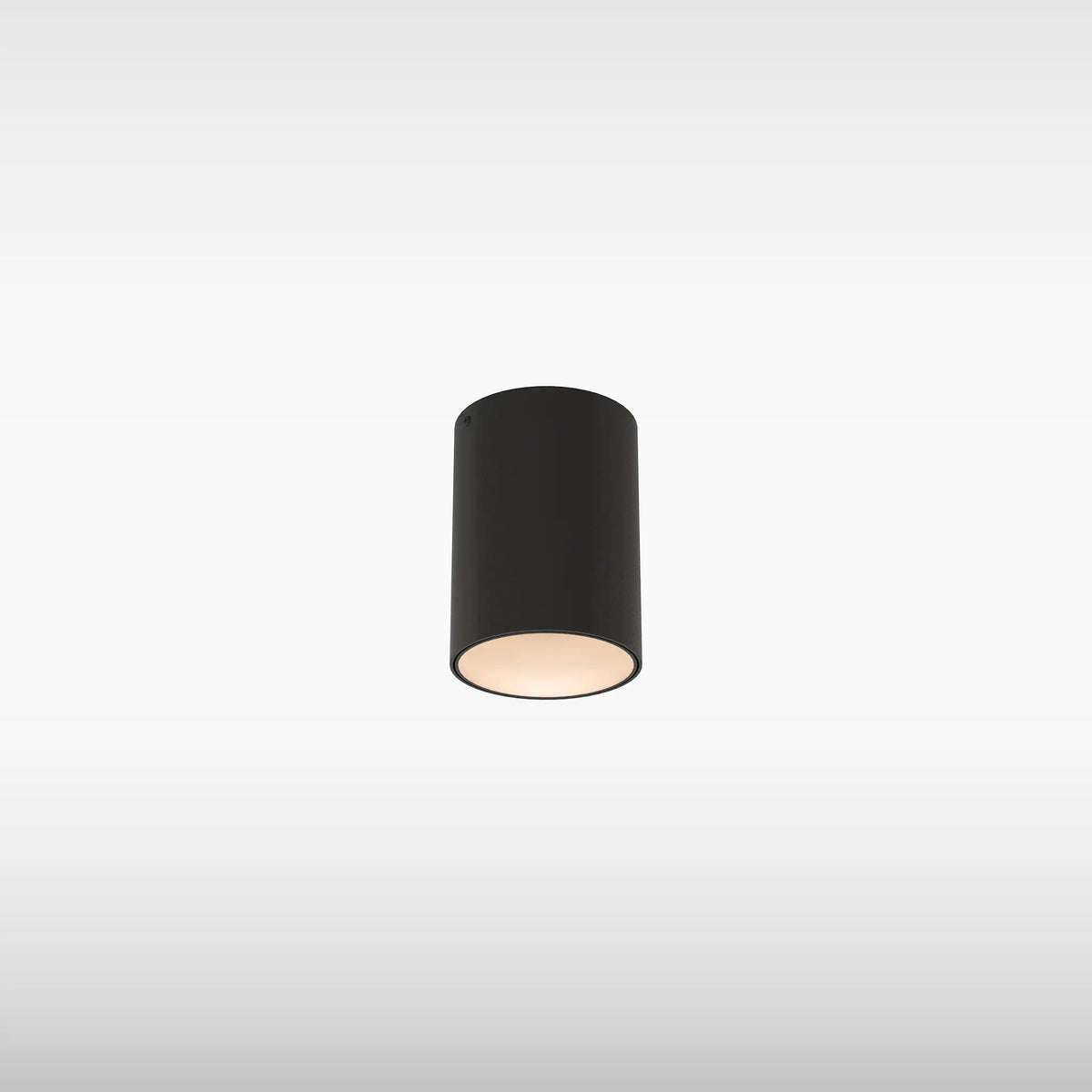 Sensio Onyx Bathroom Ceiling Light