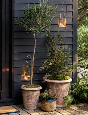 Festoon Hook