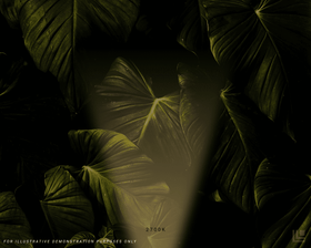 Sqube.M - Exterior Spike Spotlight - Black