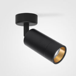 Black on Gold GU10 Shooter