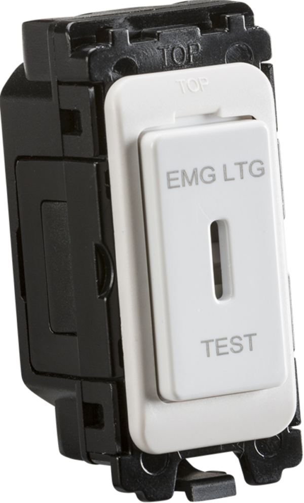20AX DP Key Switch Module  Laser Printed "EMG LTG TEST"