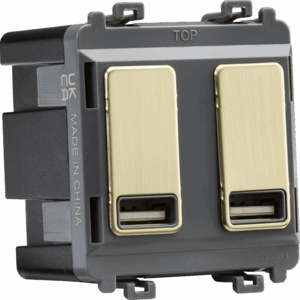 Dual USB charger module (2 x grid positions) 5V 2.4A (shared) - brushed brass