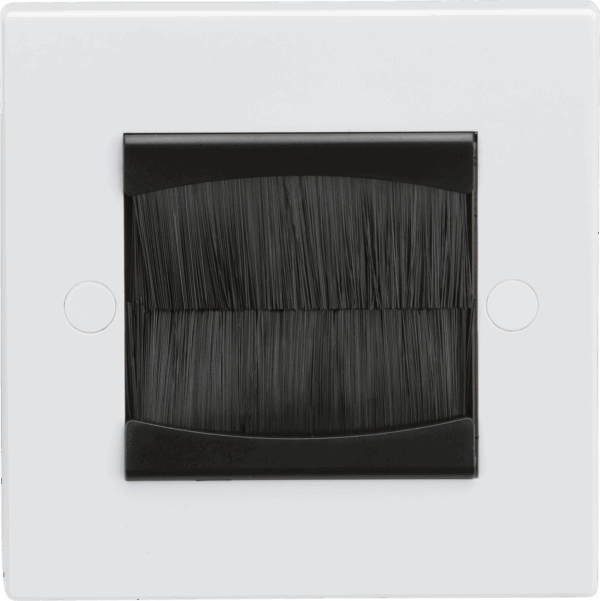 1G Brush faceplate (assembled)